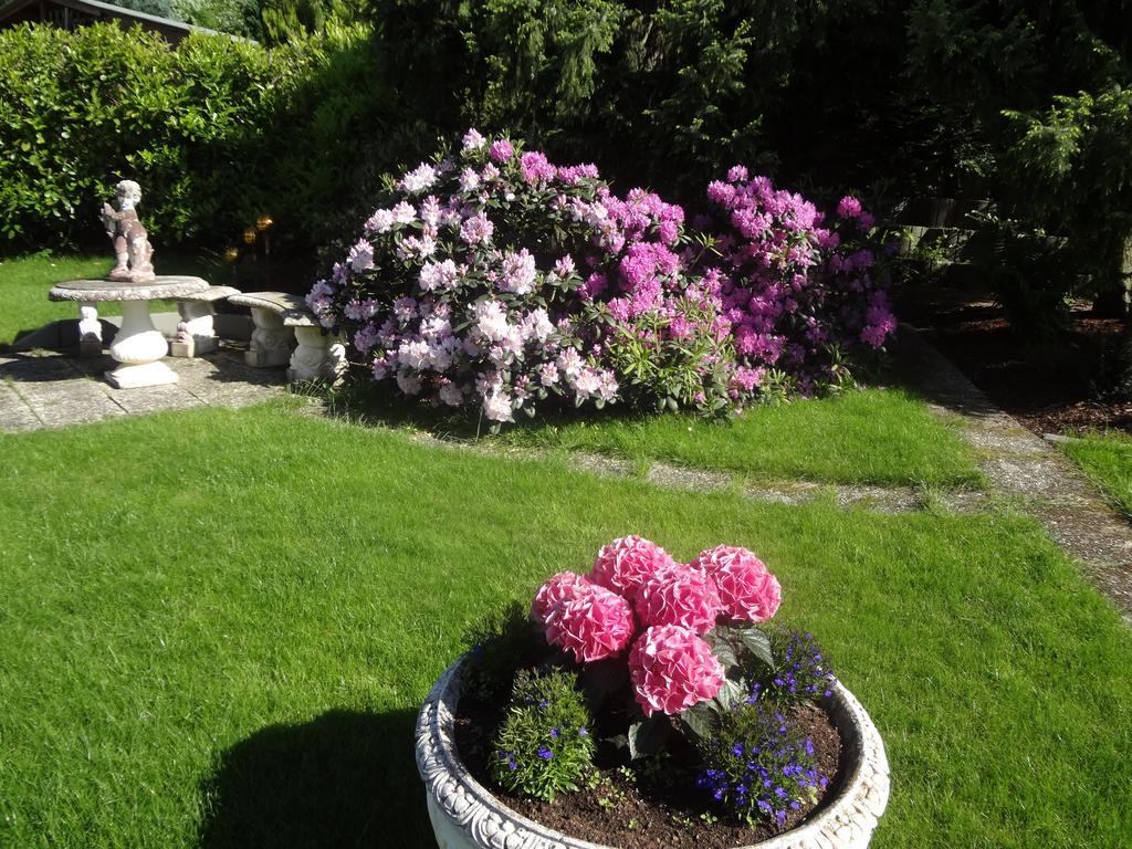 Gaestehaus Am Ahornweg Bernkastel-Kues Δωμάτιο φωτογραφία